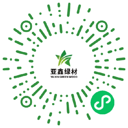 service qrcode